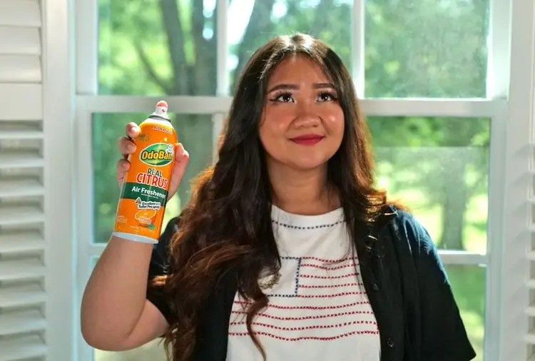 OdoBan® Real Citrus Air Freshener in the Bathroom
